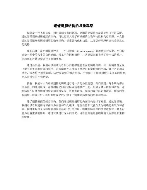蝴蝶翅膀结构的显微观察