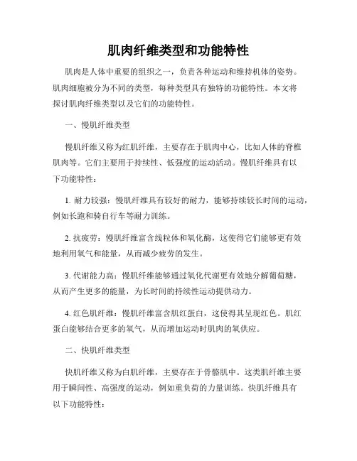 肌肉纤维类型和功能特性