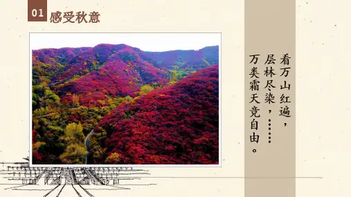 《故都的秋》ppt课件