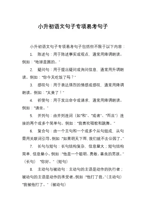 小升初语文句子专项易考句子