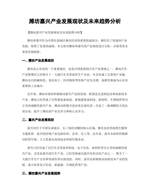 潍坊嘉兴产业发展现状及未来趋势分析
