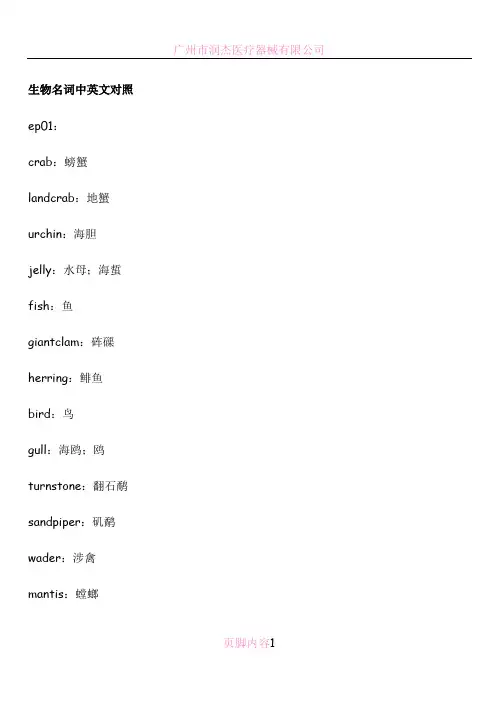 生物名词中英文对照