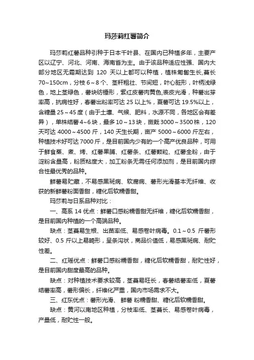 玛莎莉红薯简介