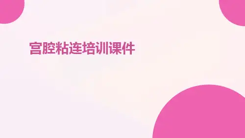 宫腔粘连培训课件