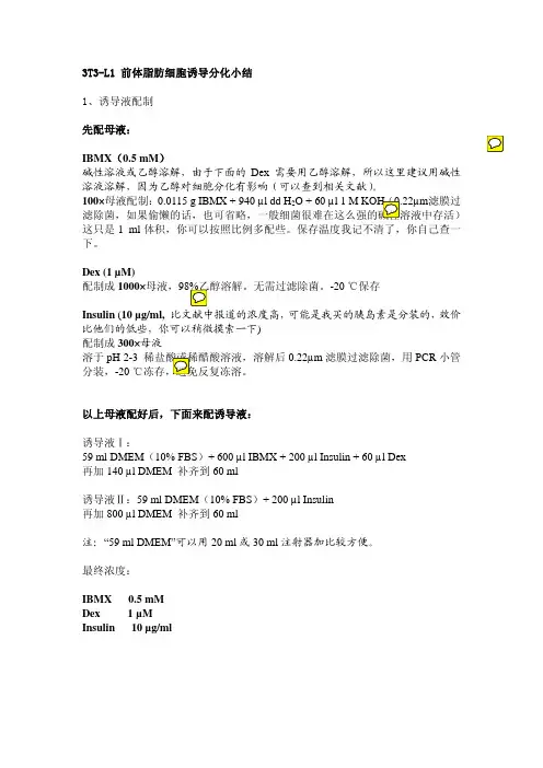 3T3-L1诱导分化小结