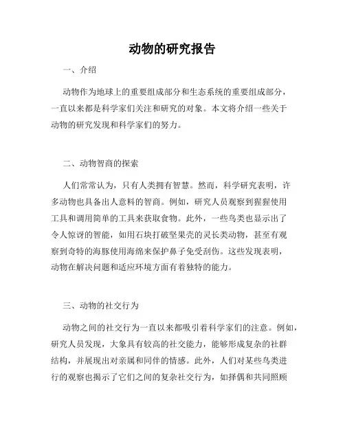 动物的研究报告