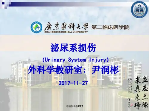泌尿系损伤(上课)ppt课件