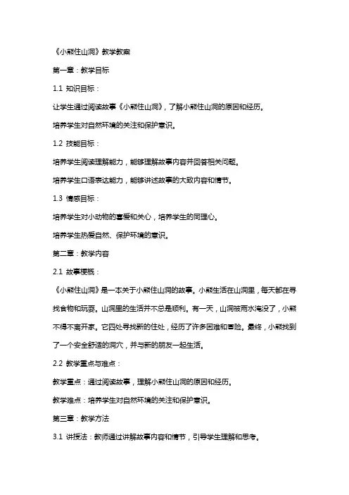《小熊住山洞》教学教案