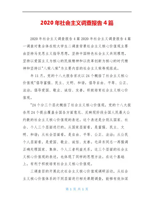 2020年社会主义调查报告4篇