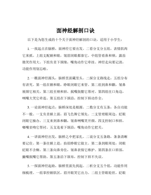 面神经解剖口诀