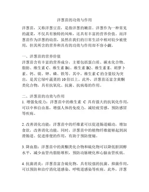 洋葱苗的功效与作用