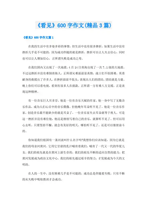 《看见》600字作文(精品3篇)