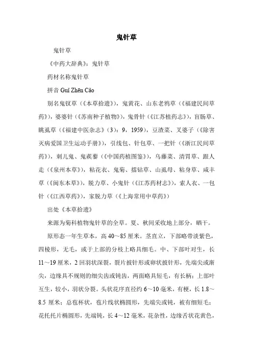 鬼针草的药用价值