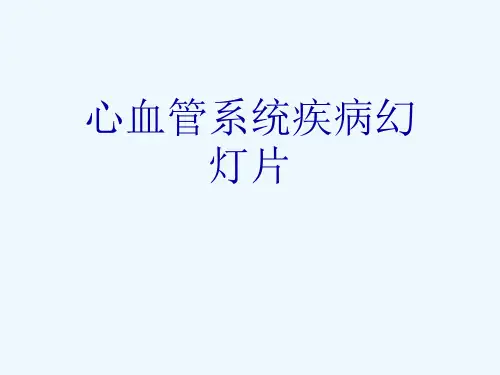 心血管系统疾病幻灯片