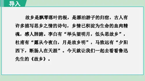 部编九年级语文上册《故乡》PPT课件(完整版)