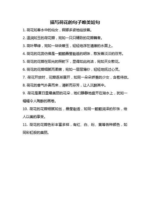 描写荷花的句子唯美短句