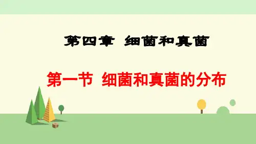 人教版 生物  八年级上册    细菌和真菌的分布