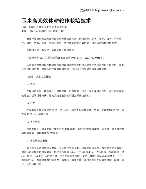 玉米高光效休耕轮作栽培技术