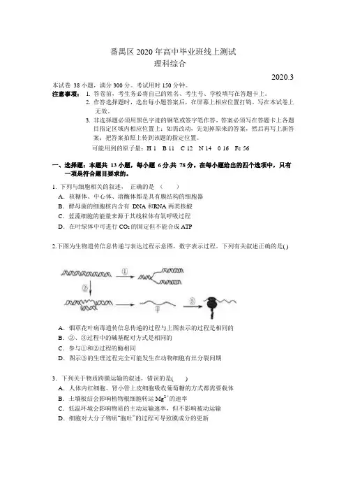广东省广州市番禺区2020届高三3月线上检测理科综合试题+Word版缺答案