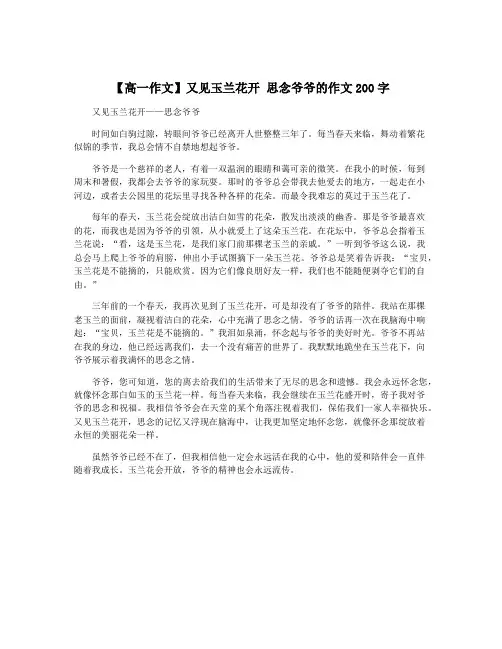 【高一作文】又见玉兰花开 思念爷爷的作文200字
