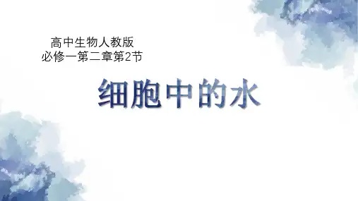 必修一细胞中的水(11张)