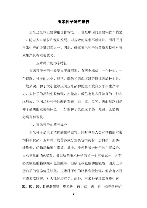 玉米种子研究报告