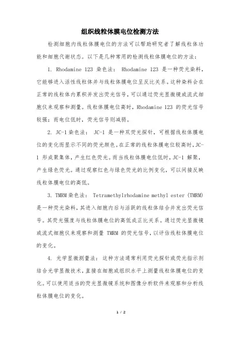 组织线粒体膜电位检测方法