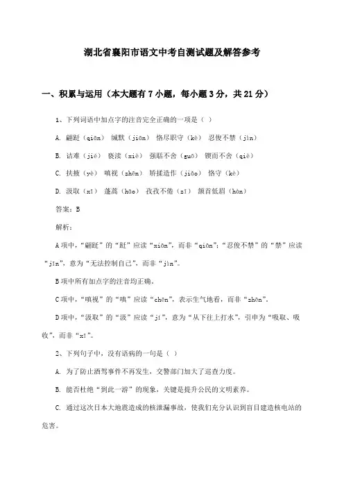 湖北省襄阳市语文中考自测试题及解答参考