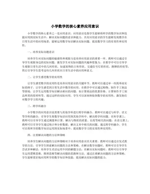 小学数学的核心素养应用意识