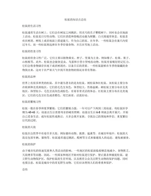松鼠的知识点总结