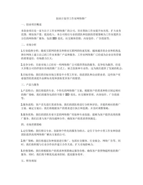 创业计划书工作室网络推广