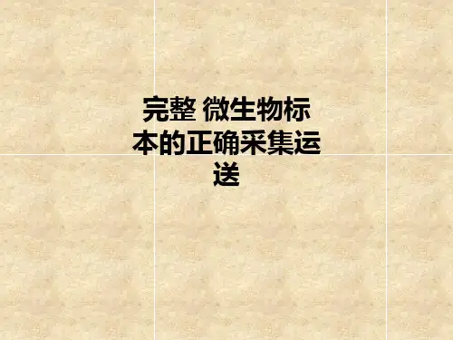 完整 微生物标本的正确采集运送ppt课件