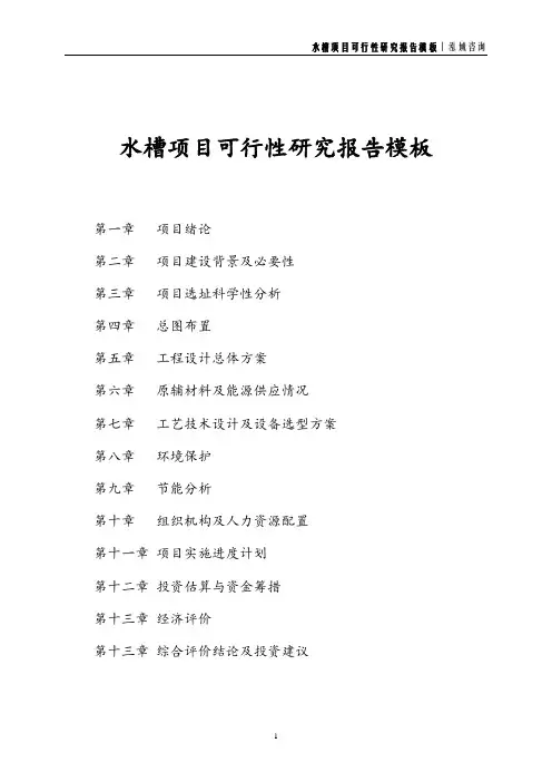 水槽项目可行性研究报告模板