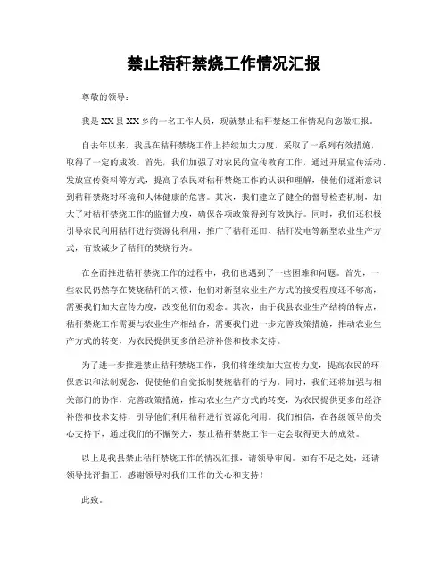 禁止秸秆禁烧工作情况汇报