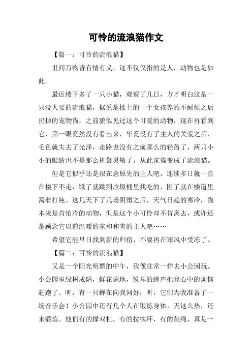 可怜的流浪猫作文