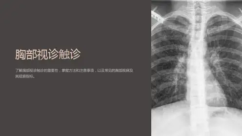 《胸部视诊触诊》课件