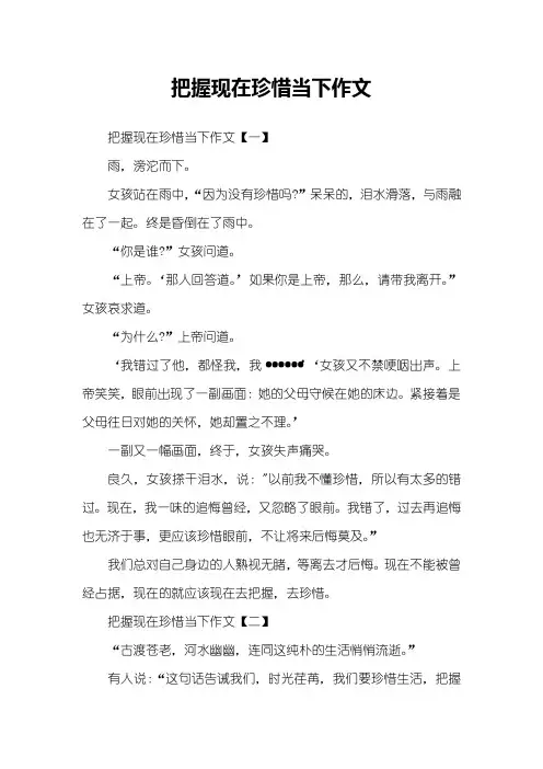 把握现在珍惜当下作文