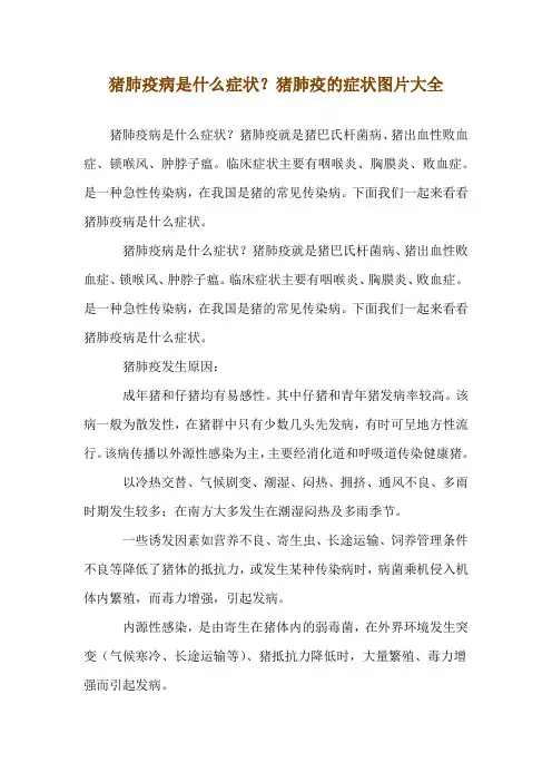 猪肺疫病是什么症状？猪肺疫的症状图片大全