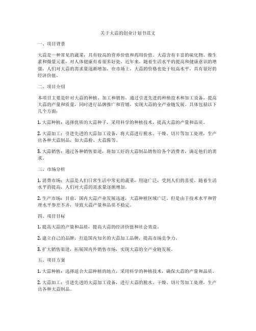 关于大蒜的创业计划书范文