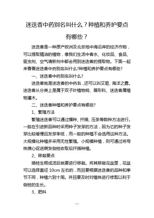 迷迭香中药别名叫什么？种植和养护要点有哪些？