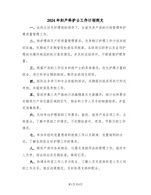 2024年妇产科护士工作计划例文（3篇）