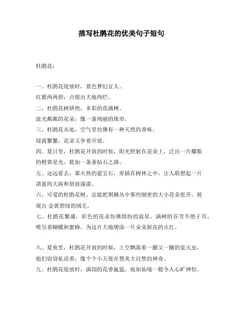 描写杜鹃花的优美句子短句
