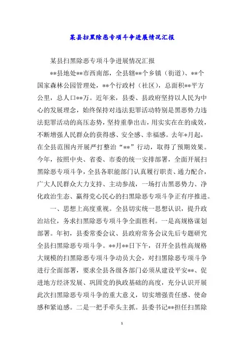 某县扫黑除恶专项斗争进展情况汇报word