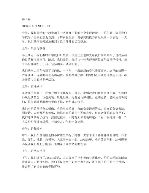 社会实践活动日记挖冬笋(2篇)