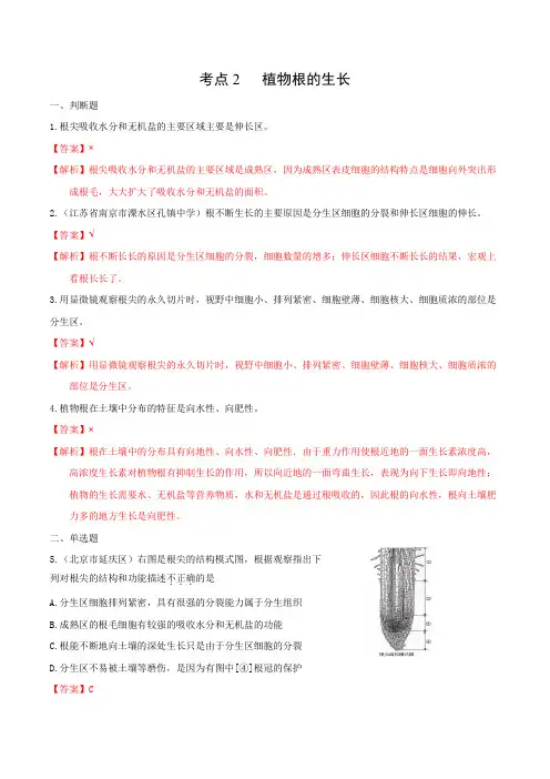考点2 植物根的生长-2020-2021学年七年级《生物》(同步课堂训练题)(苏教版)(解析版)
