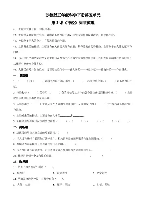 苏教版科学五年级下册5.2-神经练习卷(原卷版)