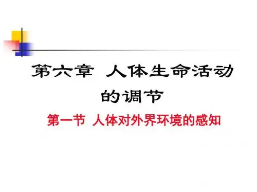 人教版生物七年级下册6.1第一节人体对外界环境的感知(共29张PPT)
