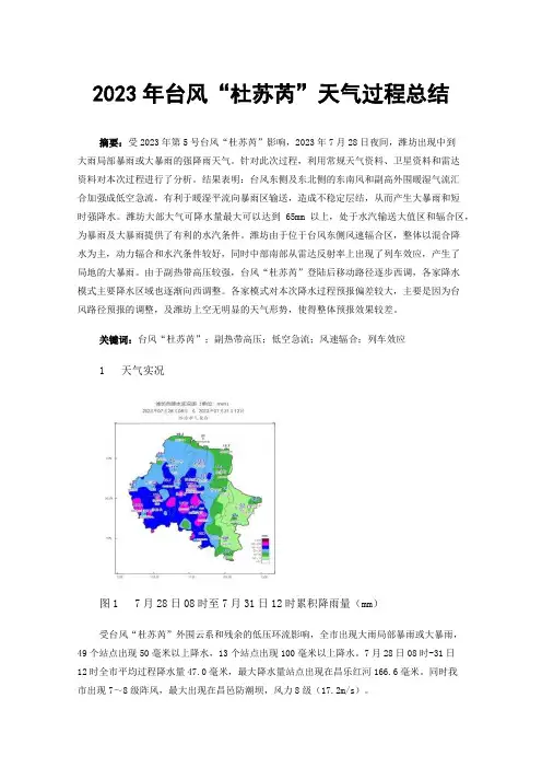 2023年台风“杜苏芮”天气过程总结