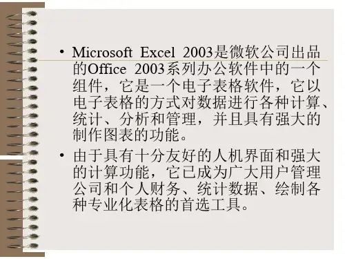 Excel2003中文版