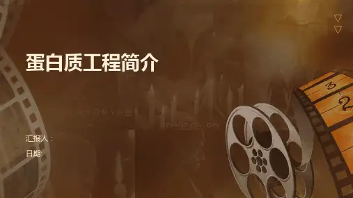 蛋白质工程简介